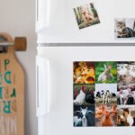 Organizing Photos - a white refrigerator with pictures of animals on it