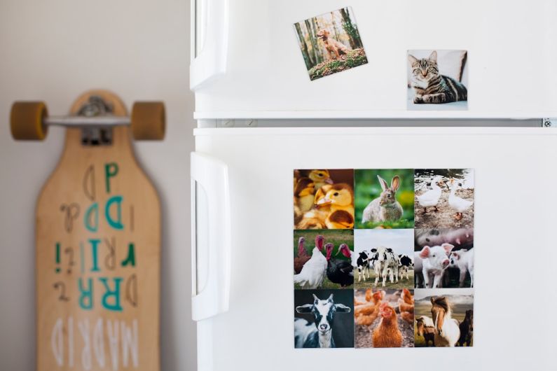 Organizing Photos - a white refrigerator with pictures of animals on it