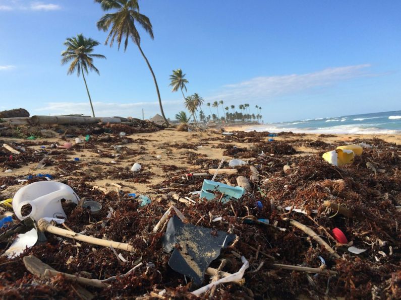 Waste Reduction - photo of coconut tree near seashore